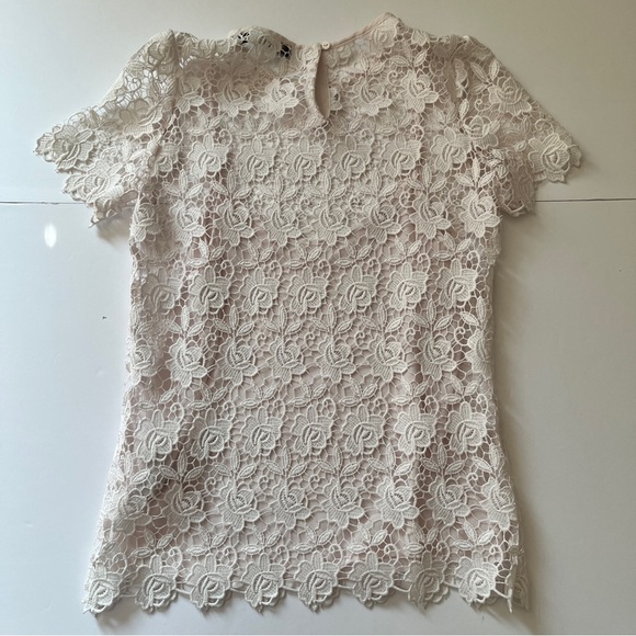 Zara Basic Guipure Lace Top Blouse Short Sleeve Lined Tank Top Floral Pink Sz XS - Picture 9 of 14